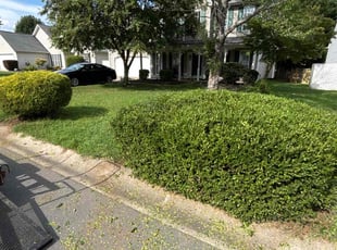 Zach W.'s Bush Trimming service result