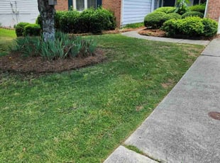 Gina U.'s lawn care services service result