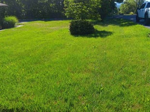 Brogan J.'s grass maintenance service result