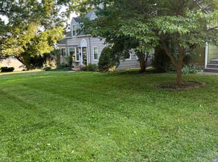 Lindsey P.'s grass maintenance service result