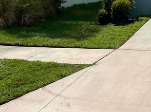 Tony P.'s grass maintenance service result