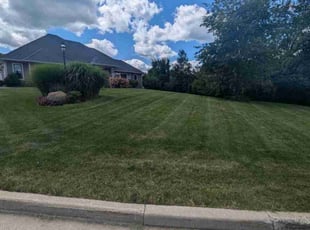 Sharyne K.'s turf maintenance service result