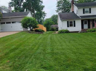 Amanda O.'s landscaping service result