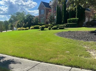 Nick W.'s grass maintenance service result