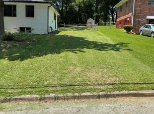 Kevin T.'s lawn care services service result