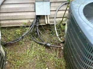 Nancy M.'s turf care service result