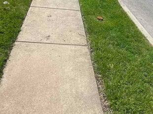 Rose M.'s lawn care services service result