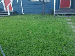 Sheri B.'s Long Grass Cleanup service result
