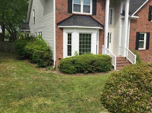 Fang L.'s turf care service result