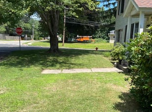 Erick H.'s lawn care services service result