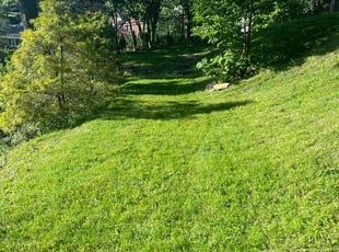 James S.'s grass cutting service result