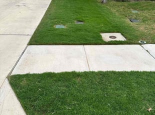 Scott T.'s lawn maintenance service result