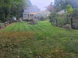 Kimmie B.'s lawn service service result