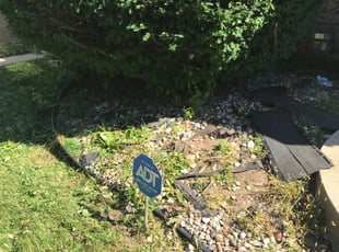 Darryl T.'s Bush Trimming service result