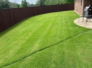 Brenda N.'s lawn service service result