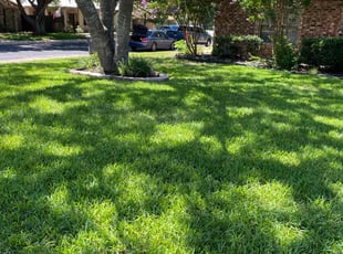 Cynthia A.'s lawn care service result