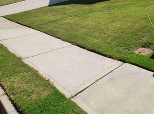 Carrie S.'s turf maintenance service result