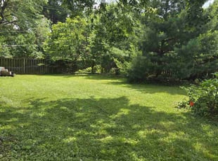 Nick I.'s turf care service result