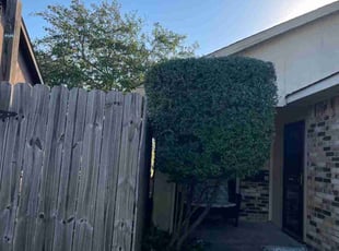 Denis P.'s Bush Trimming service result