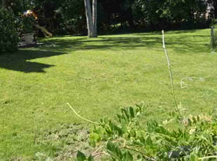 Killey W.'s lawn maintenance service result