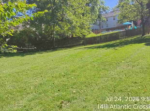 Motosada M.'s grass cutting service result