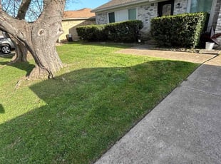 Stephenie T.'s grass maintenance service result