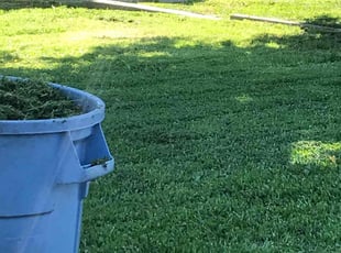 Richard L.'s grass cutting service result