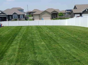 Jonathan L.'s lawn care service result