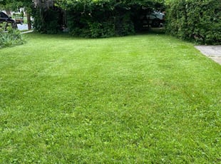 Sherry D.'s lawn care services service result