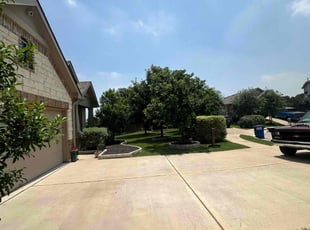 Mark S.'s turf care service result