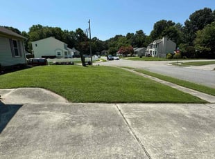 Kerene S.'s lawn care service result
