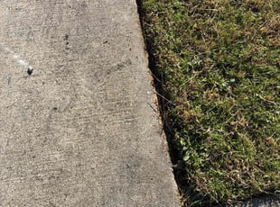 Diane H.'s lawn maintenance service result