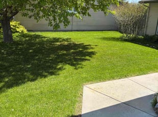 Terri F.'s lawn service service result