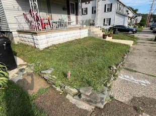 Carmen J.'s lawn care service result