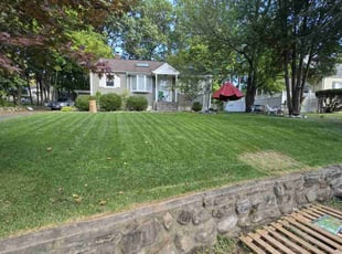 Sarah F.'s lawn care services service result