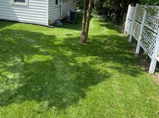 Christine B.'s turf maintenance service result