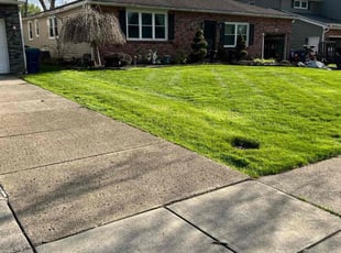 Karen D.'s lawn maintenance service result