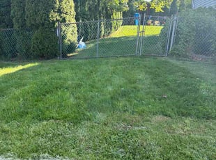 Jewel W.'s lawn maintenance service result