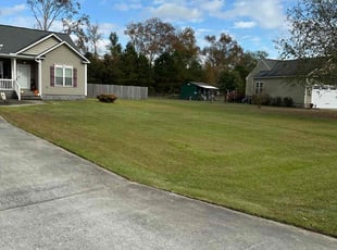 nirvanah L.'s grass maintenance service result