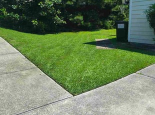 Taylor H.'s lawn care service result