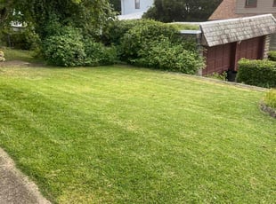 Linda S.'s turf maintenance service result