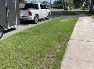 Lorie P.'s lawn care services service result