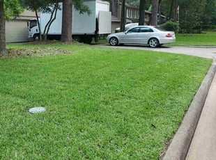 Rhonda K.'s lawn care service result
