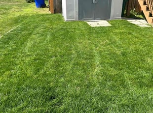 Jennifer G.'s grass maintenance service result