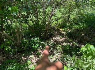 Demonica S.'s Bush Trimming service result