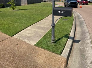 Thomas H.'s lawn service service result