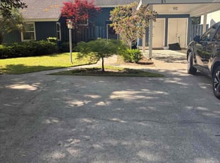 Richard S.'s lawn maintenance service result