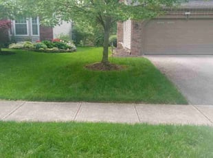 Brian J.'s lawn service service result