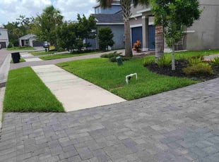 Leon S.'s lawn care service result