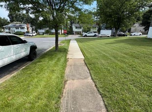 Seán D.'s grass cutting service result